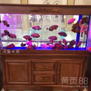 無錫墻上水族箱定制魚缸 打造個性化寵物配件的藝術