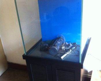 探索海水缸之美 天津600mm×600mm海水魚缸選購指南